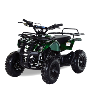 Квадроцикл MOTAX ATV Mini Grizlik Х-16 с электростартером и пультом (Зеленый камуфляж)